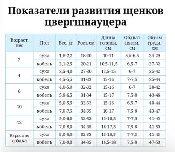 http://upforme.ru/uploads/0012/35/4a/3305/t273502.jpg