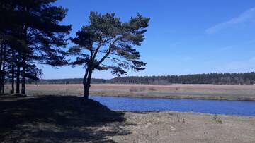 http://upforme.ru/uploads/0012/46/3b/66/t558846.jpg