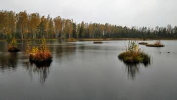 http://upforme.ru/uploads/0012/50/eb/26/t988208.jpg