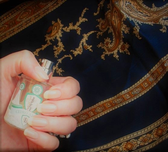 http://upforme.ru/uploads/0012/55/22/13/11487.jpg