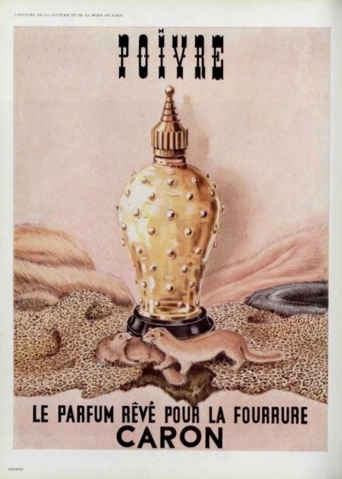 http://upforme.ru/uploads/0012/55/22/13/30019.jpg