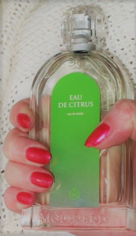 http://upforme.ru/uploads/0012/55/22/13/51155.jpg