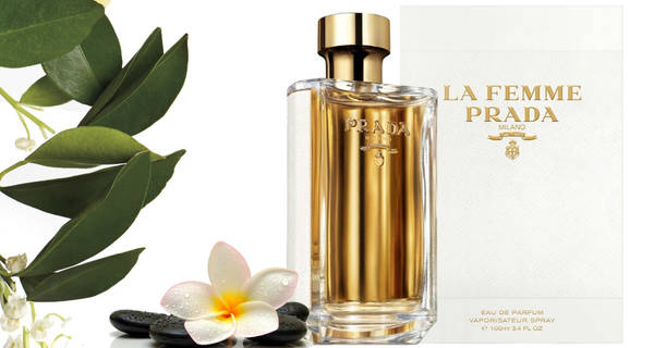 http://upforme.ru/uploads/0012/55/22/13/t24223.jpg