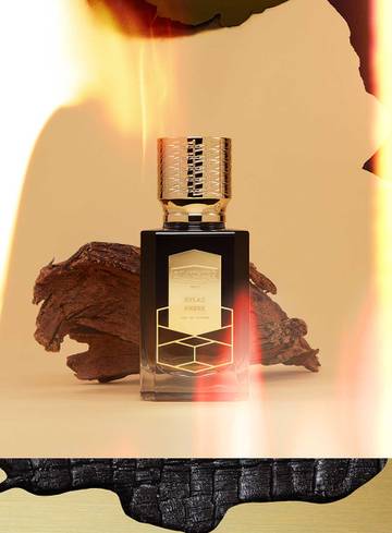http://upforme.ru/uploads/0012/55/22/13/t38618.jpg