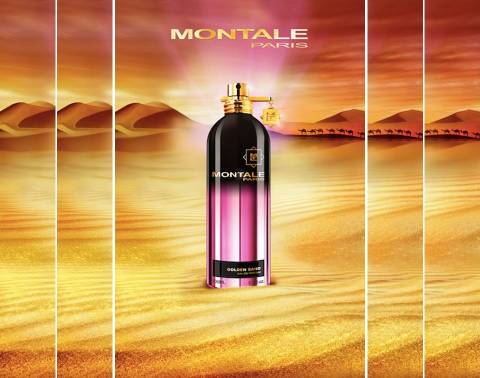 http://upforme.ru/uploads/0012/55/22/13/t562719.jpg