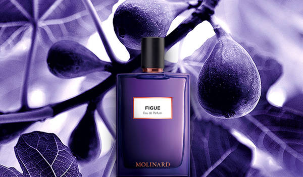 http://upforme.ru/uploads/0012/55/22/13/t60621.jpg