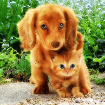 http://upforme.ru/uploads/0012/57/91/168/t680959.jpg