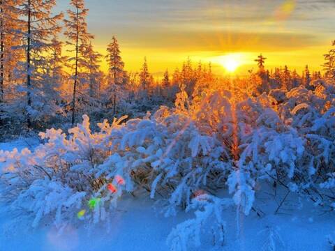 http://upforme.ru/uploads/0012/57/91/168/t966009.jpg