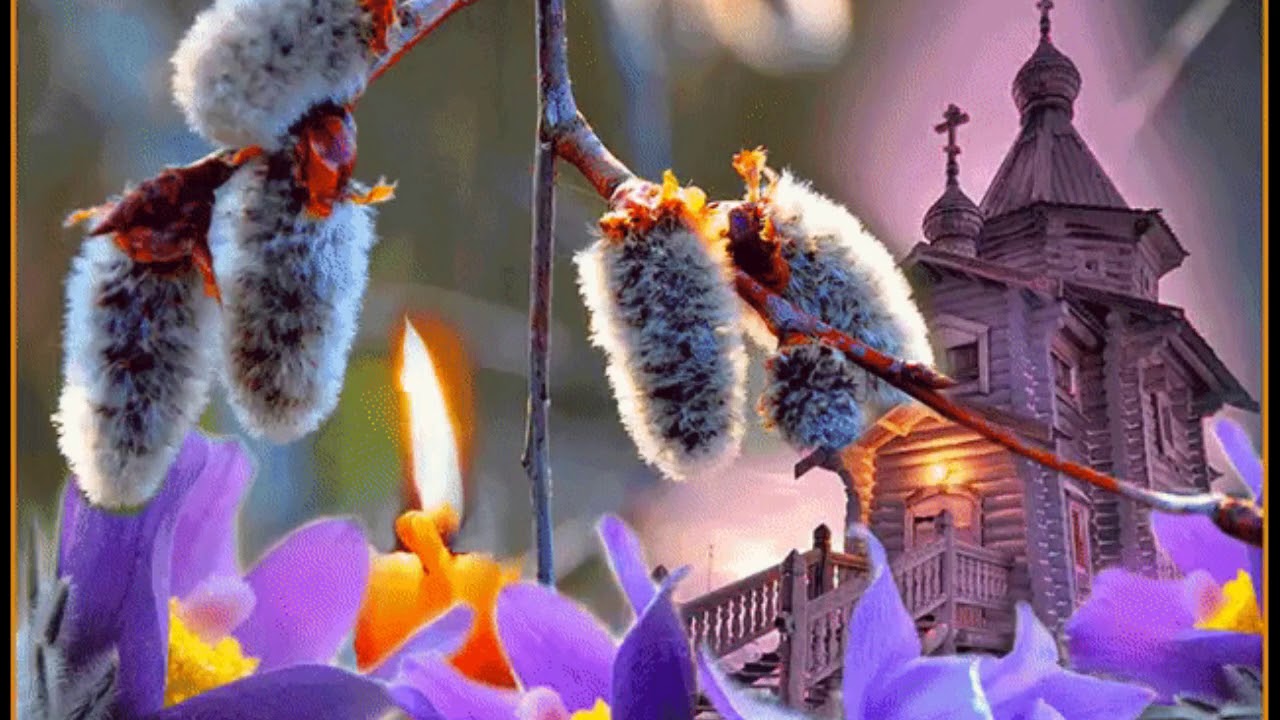 http://upforme.ru/uploads/0012/57/91/191/382123.jpg