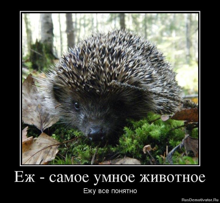 http://upforme.ru/uploads/0012/57/91/191/459063.jpg
