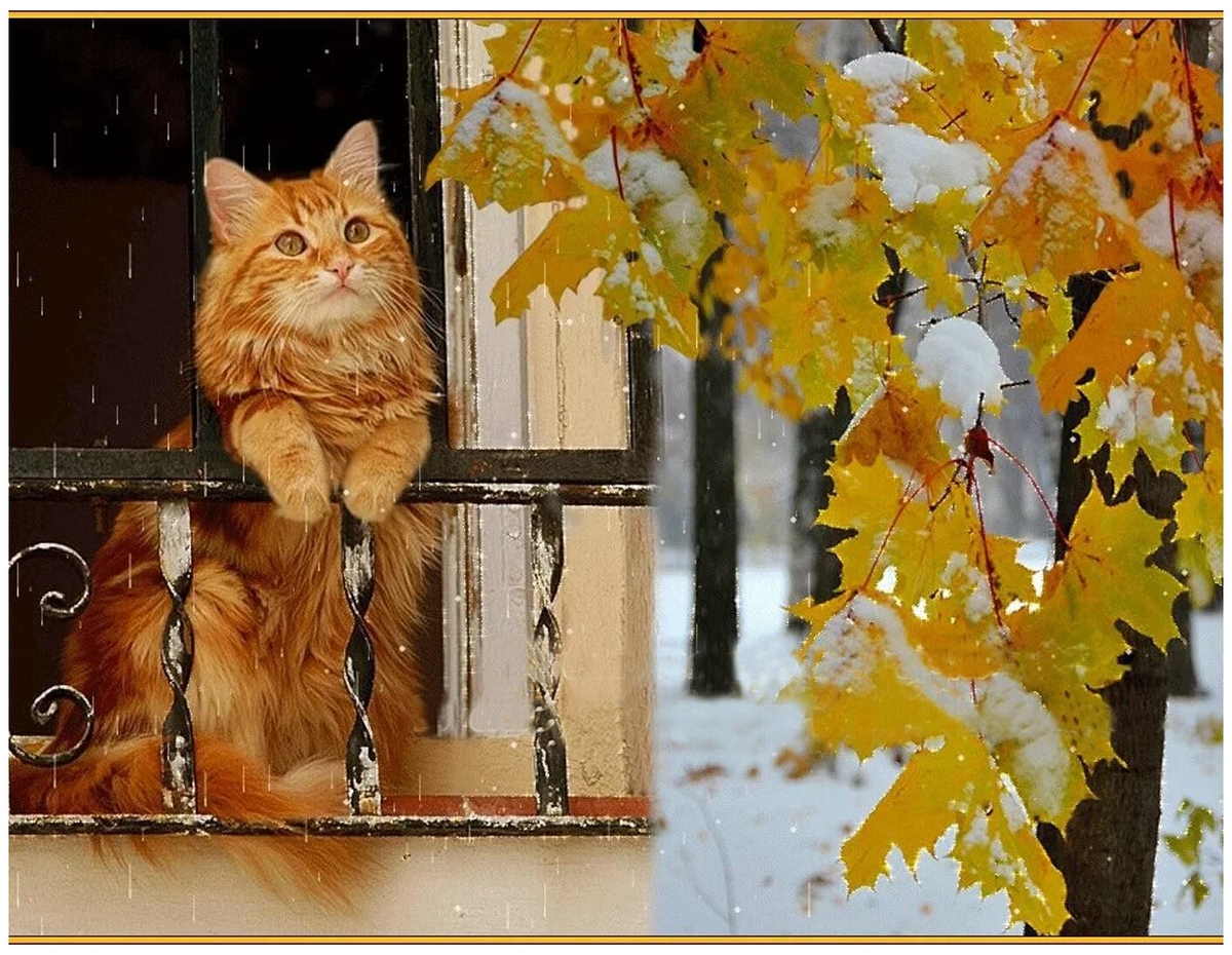 http://upforme.ru/uploads/0012/57/91/191/508711.jpg