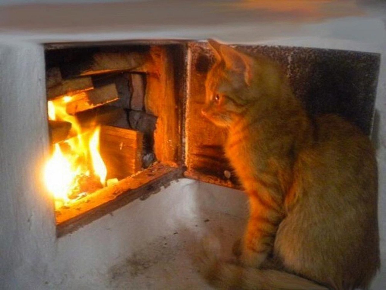 http://upforme.ru/uploads/0012/57/91/191/519201.jpg