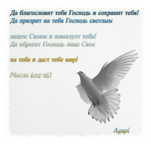 http://upforme.ru/uploads/0012/57/91/191/797234.jpg
