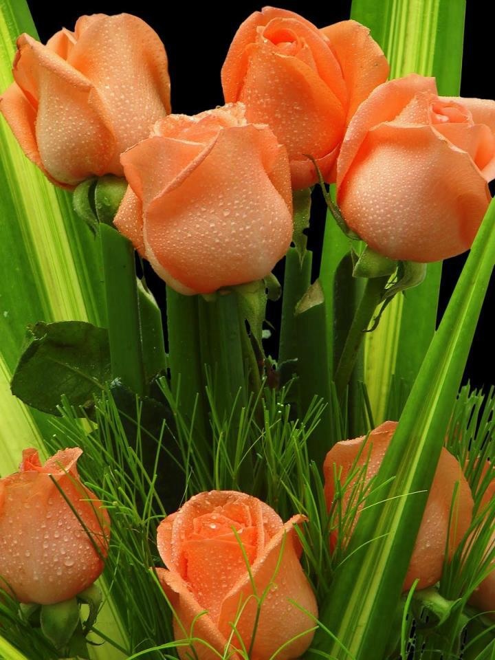 http://upforme.ru/uploads/0012/57/91/191/88686.jpg