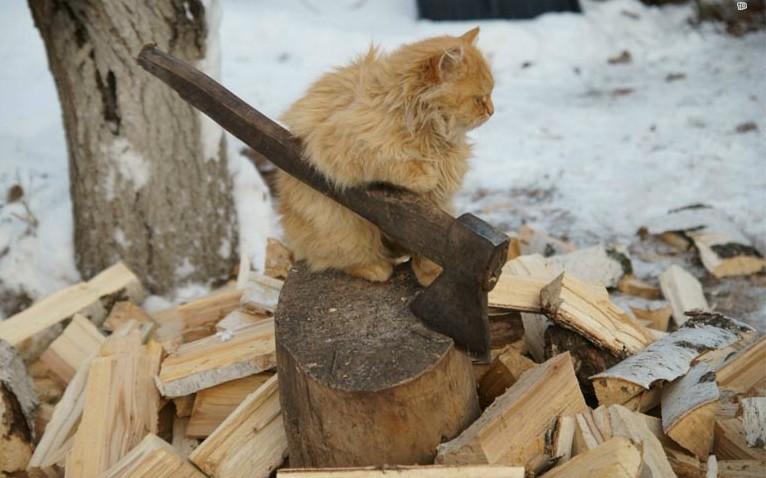 http://upforme.ru/uploads/0012/57/91/191/895003.jpg