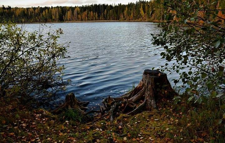 http://upforme.ru/uploads/0012/57/91/395/618909.jpg