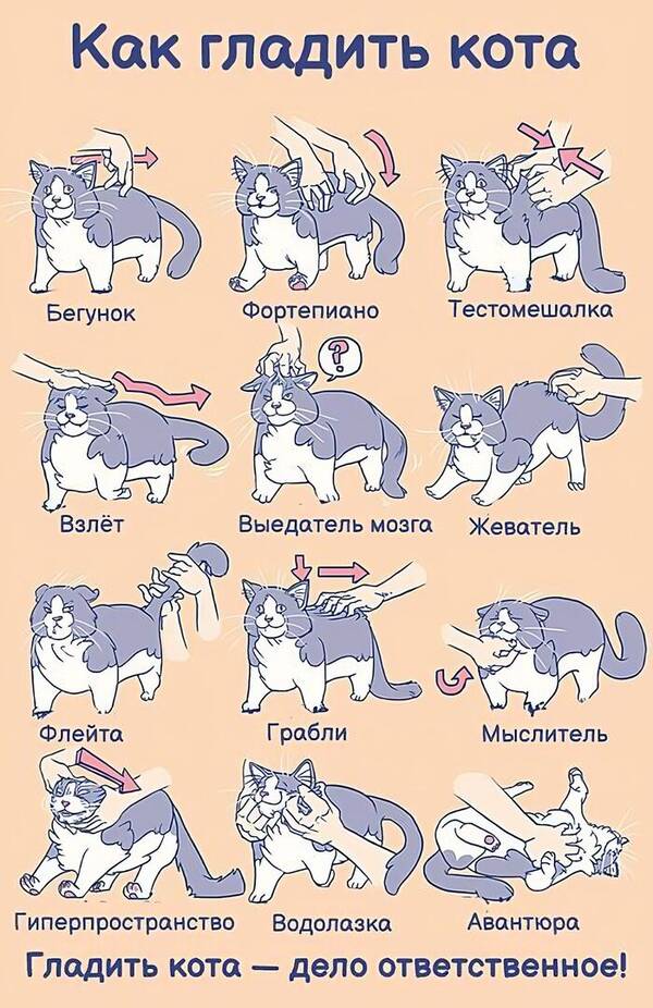 http://upforme.ru/uploads/0012/57/91/395/t595057.jpg