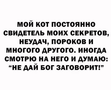 http://upforme.ru/uploads/0012/57/91/395/t671046.jpg