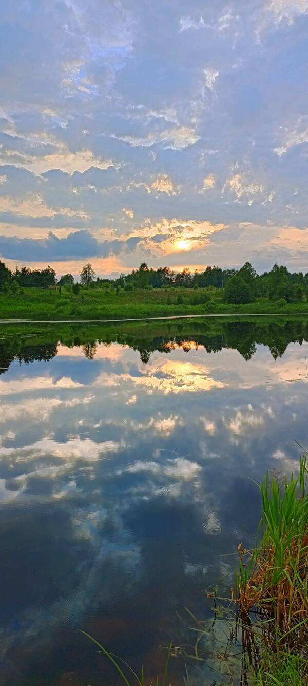 http://upforme.ru/uploads/0012/57/91/414/t22248.jpg