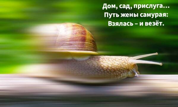 http://upforme.ru/uploads/0012/57/91/414/t720078.jpg