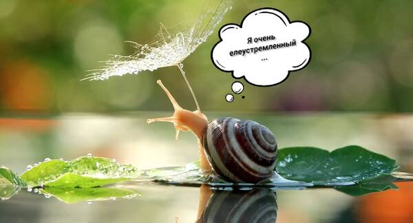 http://upforme.ru/uploads/0012/57/91/414/t814017.jpg