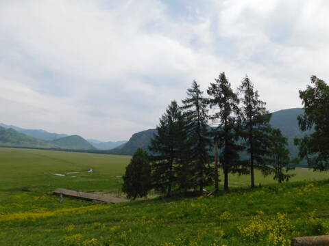 http://upforme.ru/uploads/0012/57/91/5/t47811.jpg