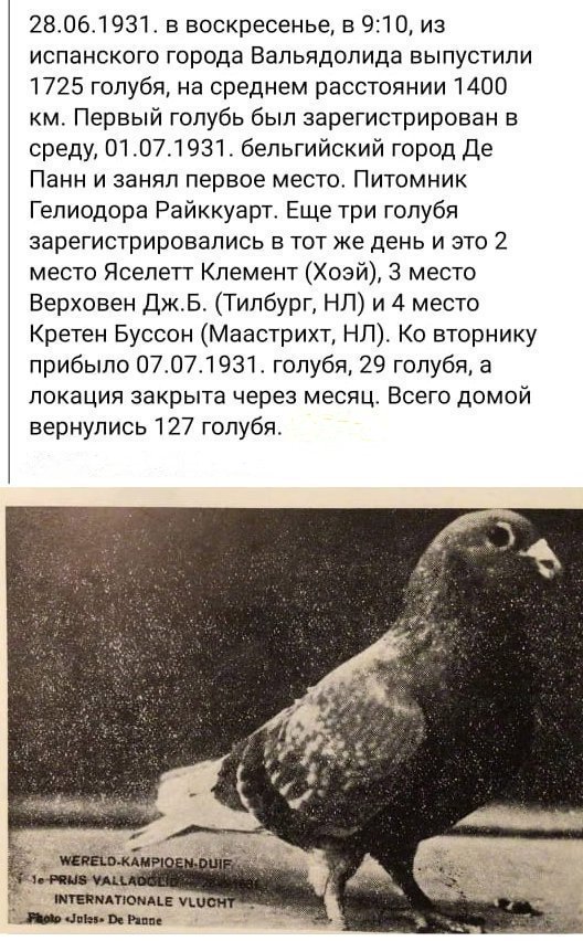 http://upforme.ru/uploads/0012/5a/ef/2/226914.jpg