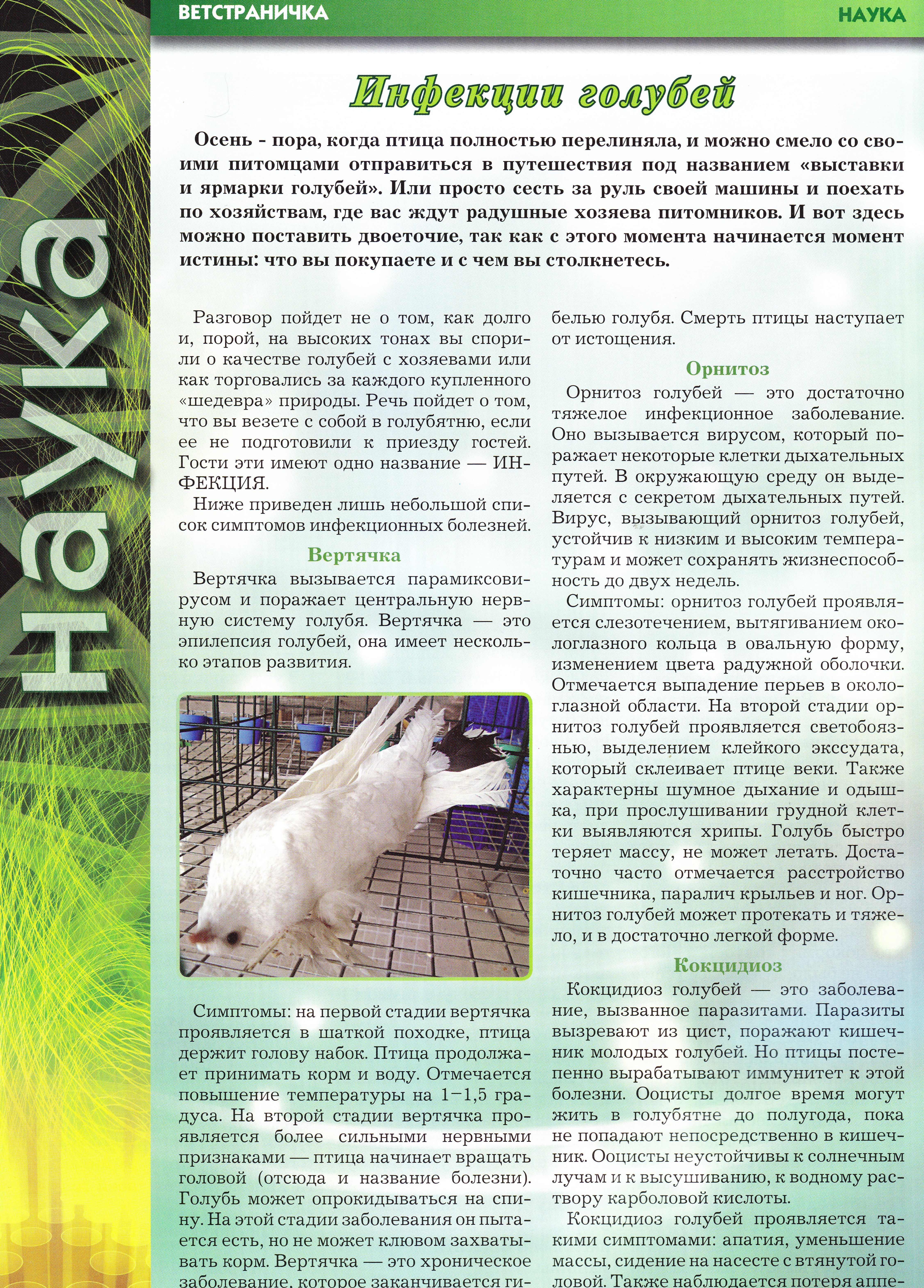 http://upforme.ru/uploads/0012/5a/ef/2/256392.jpg