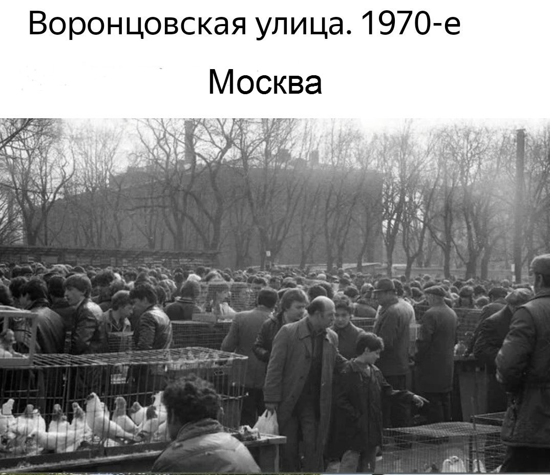 http://upforme.ru/uploads/0012/5a/ef/2/400364.jpg
