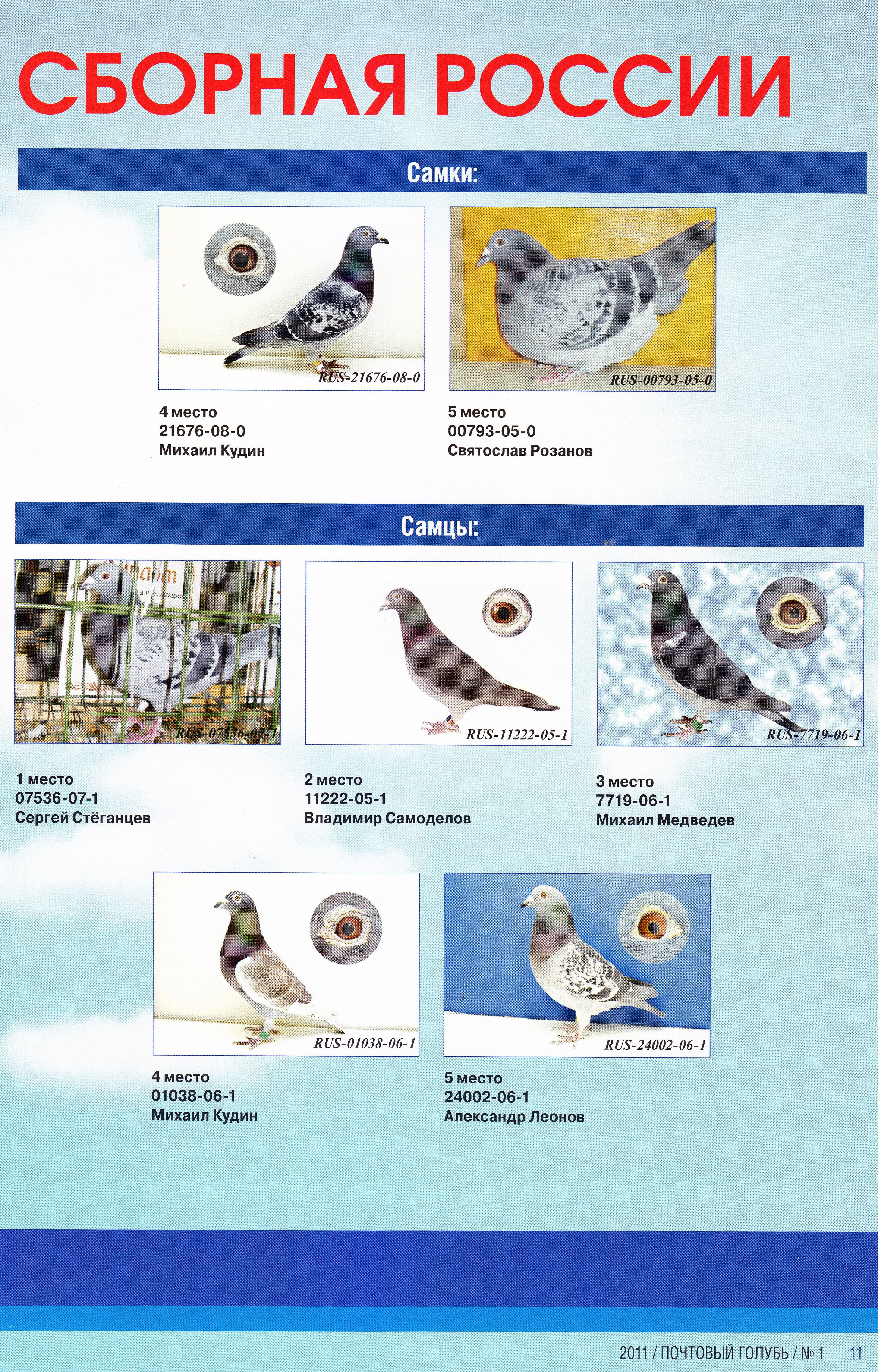 http://upforme.ru/uploads/0012/5a/ef/2/409919.jpg