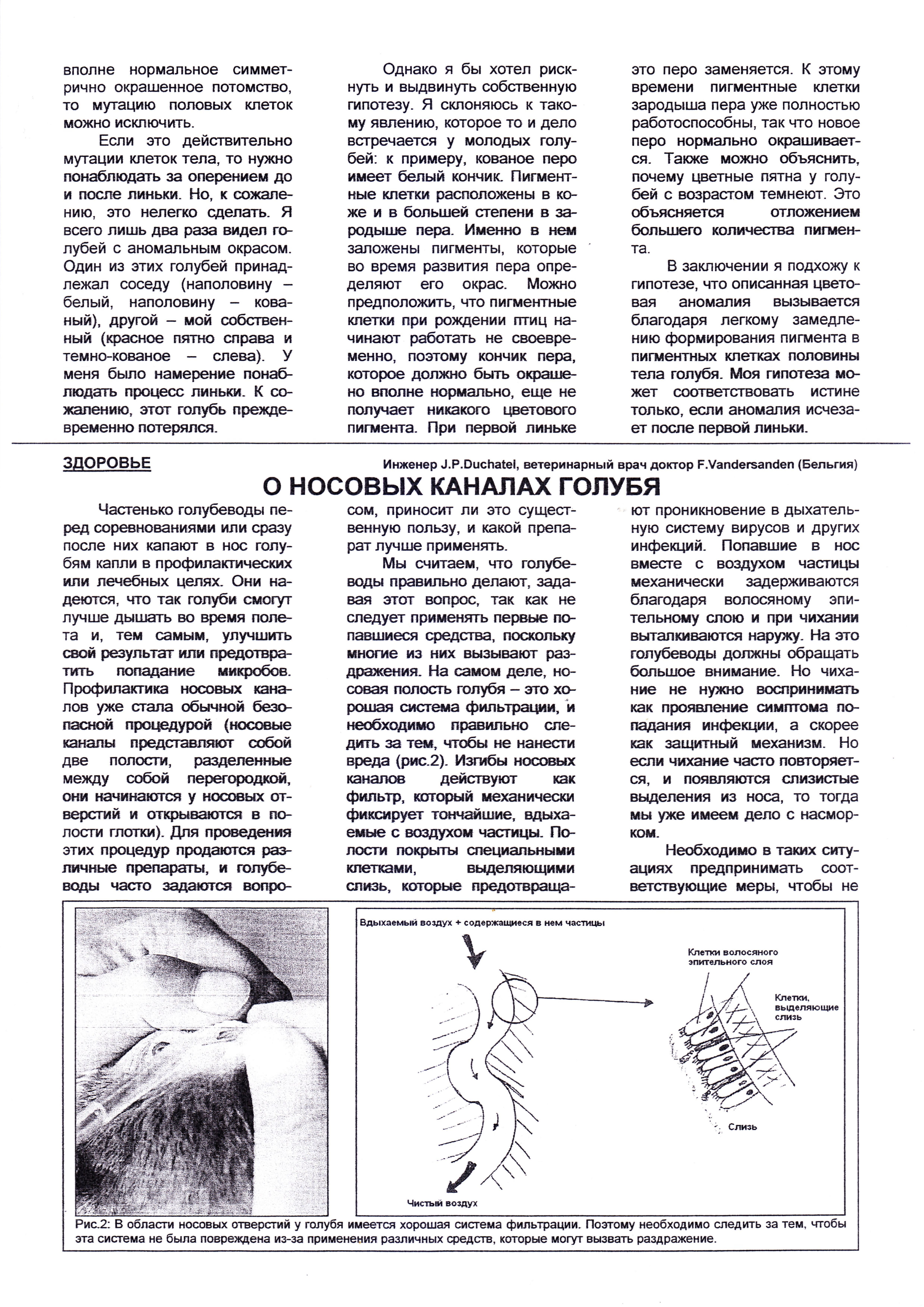 http://upforme.ru/uploads/0012/5a/ef/2/423629.jpg