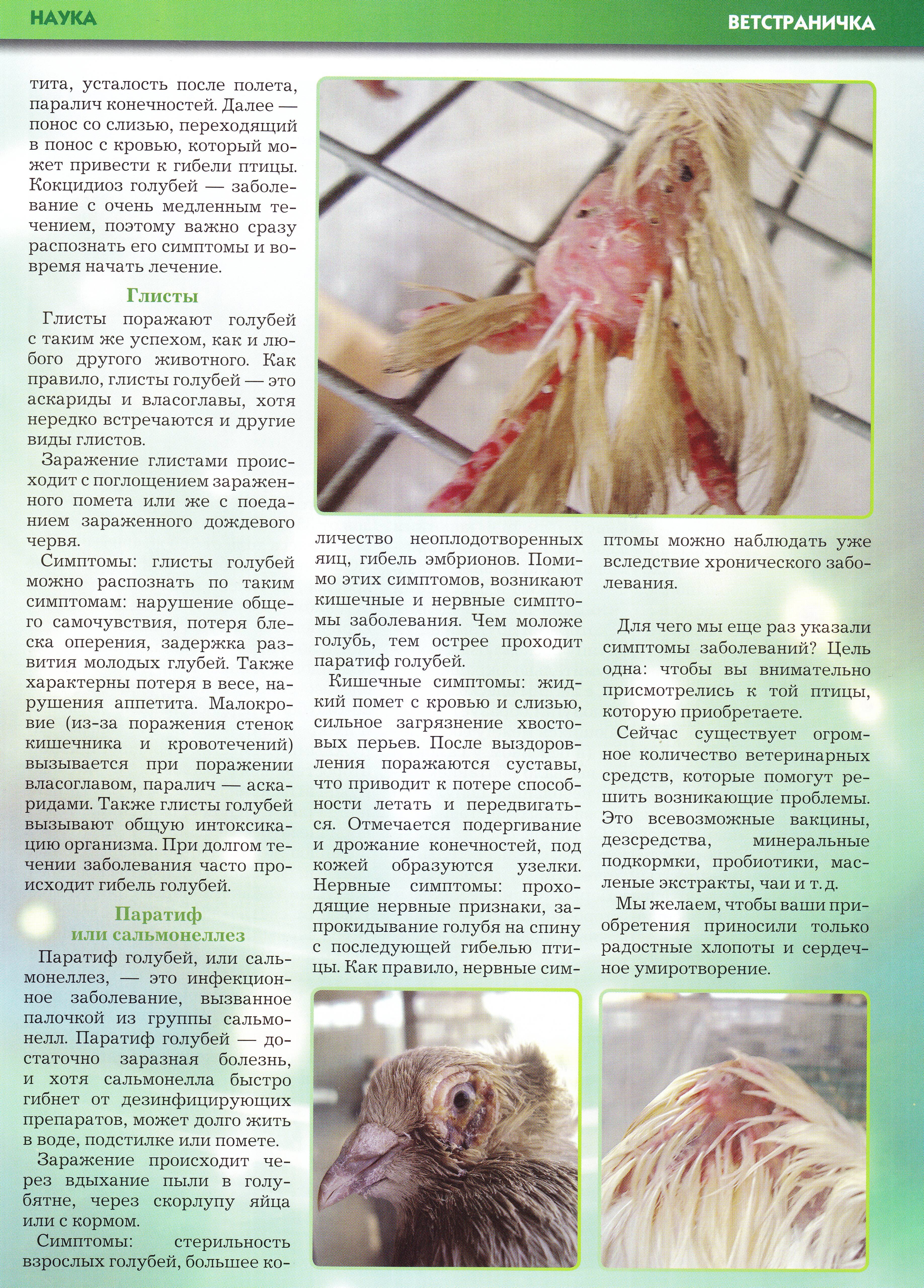 http://upforme.ru/uploads/0012/5a/ef/2/538669.jpg
