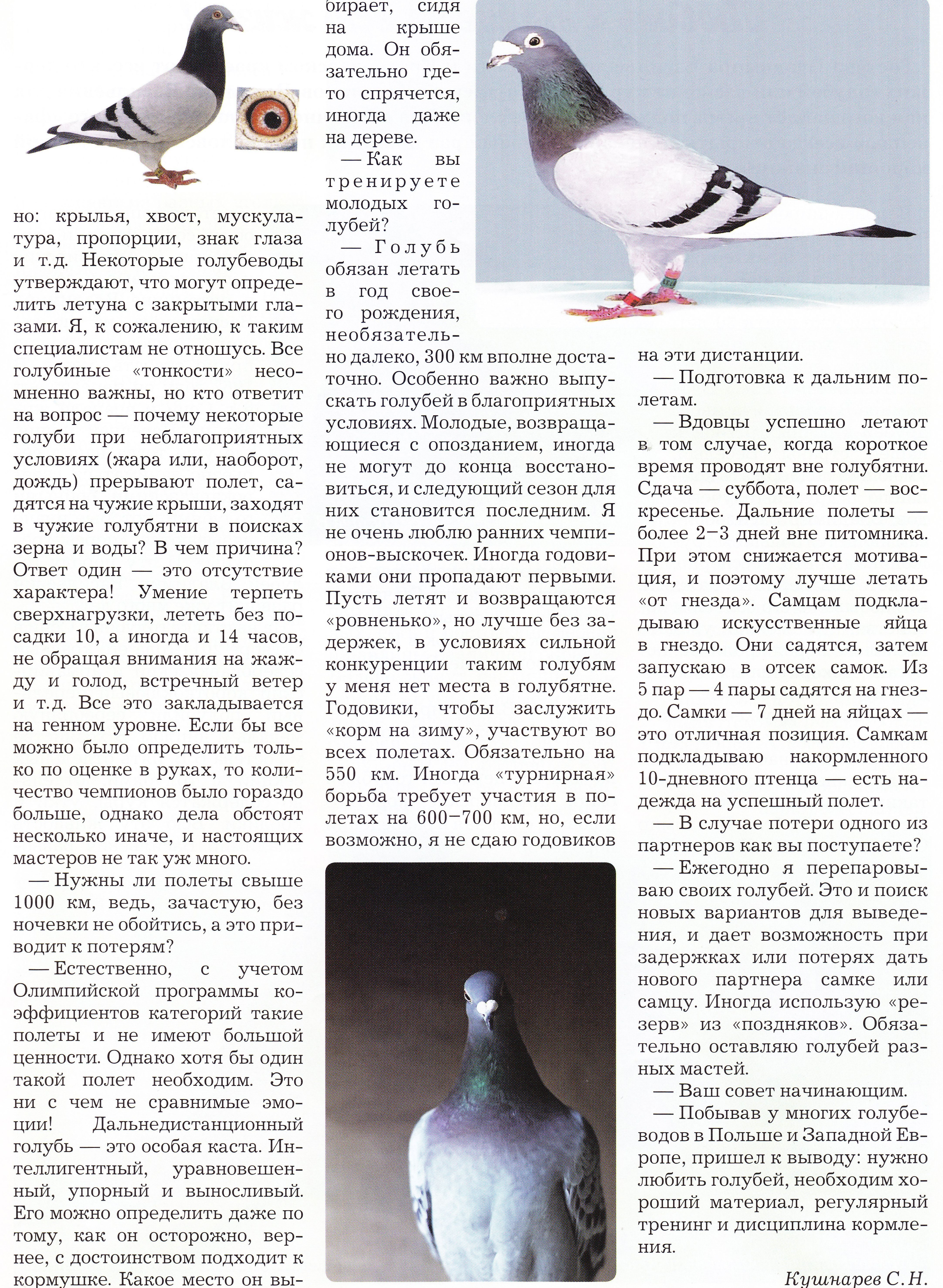 http://upforme.ru/uploads/0012/5a/ef/2/55989.jpg
