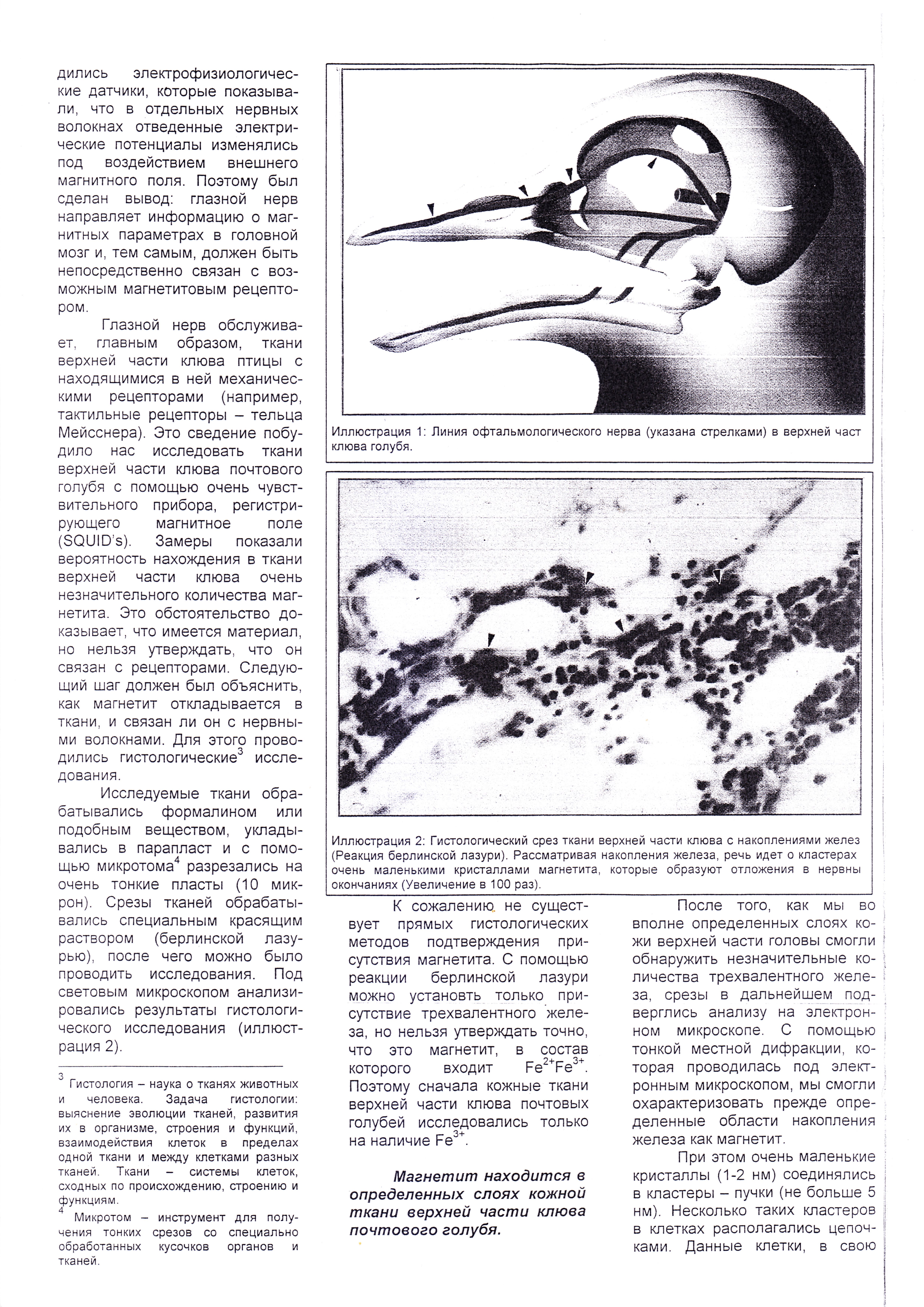 http://upforme.ru/uploads/0012/5a/ef/2/687914.jpg