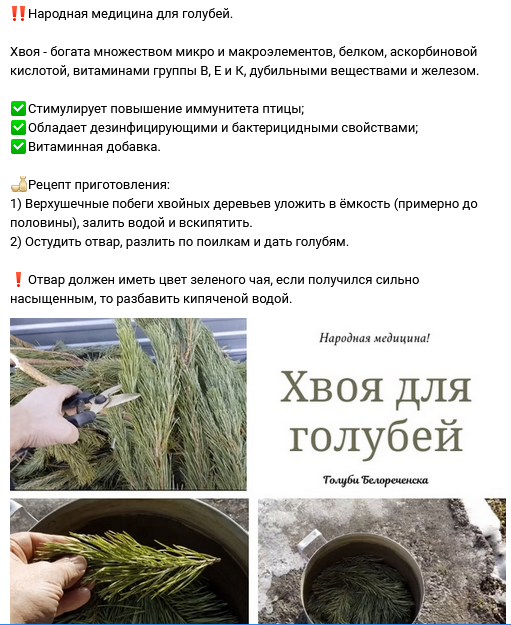 http://upforme.ru/uploads/0012/5a/ef/2/735422.png