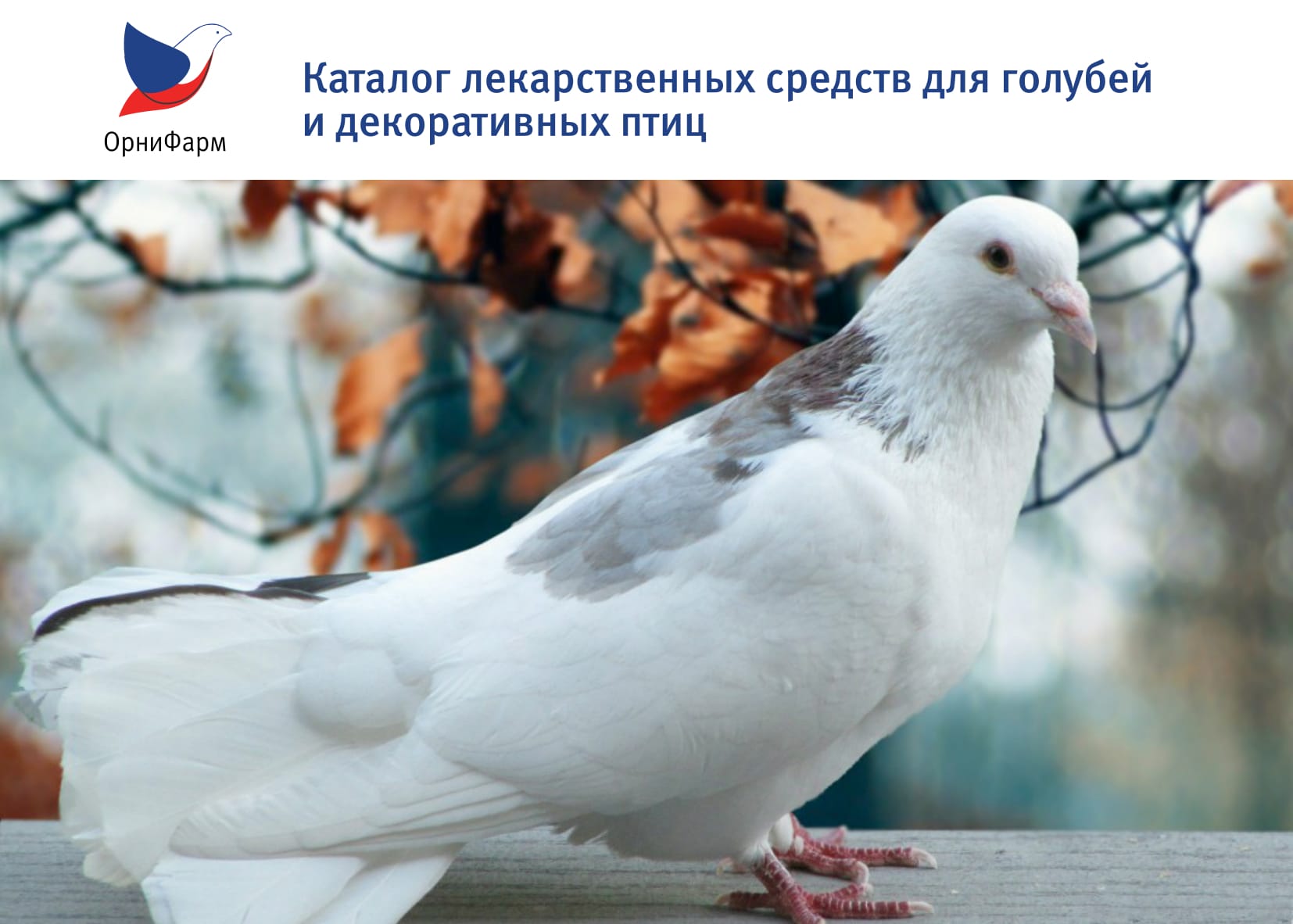 http://upforme.ru/uploads/0012/5a/ef/2/840814.jpg