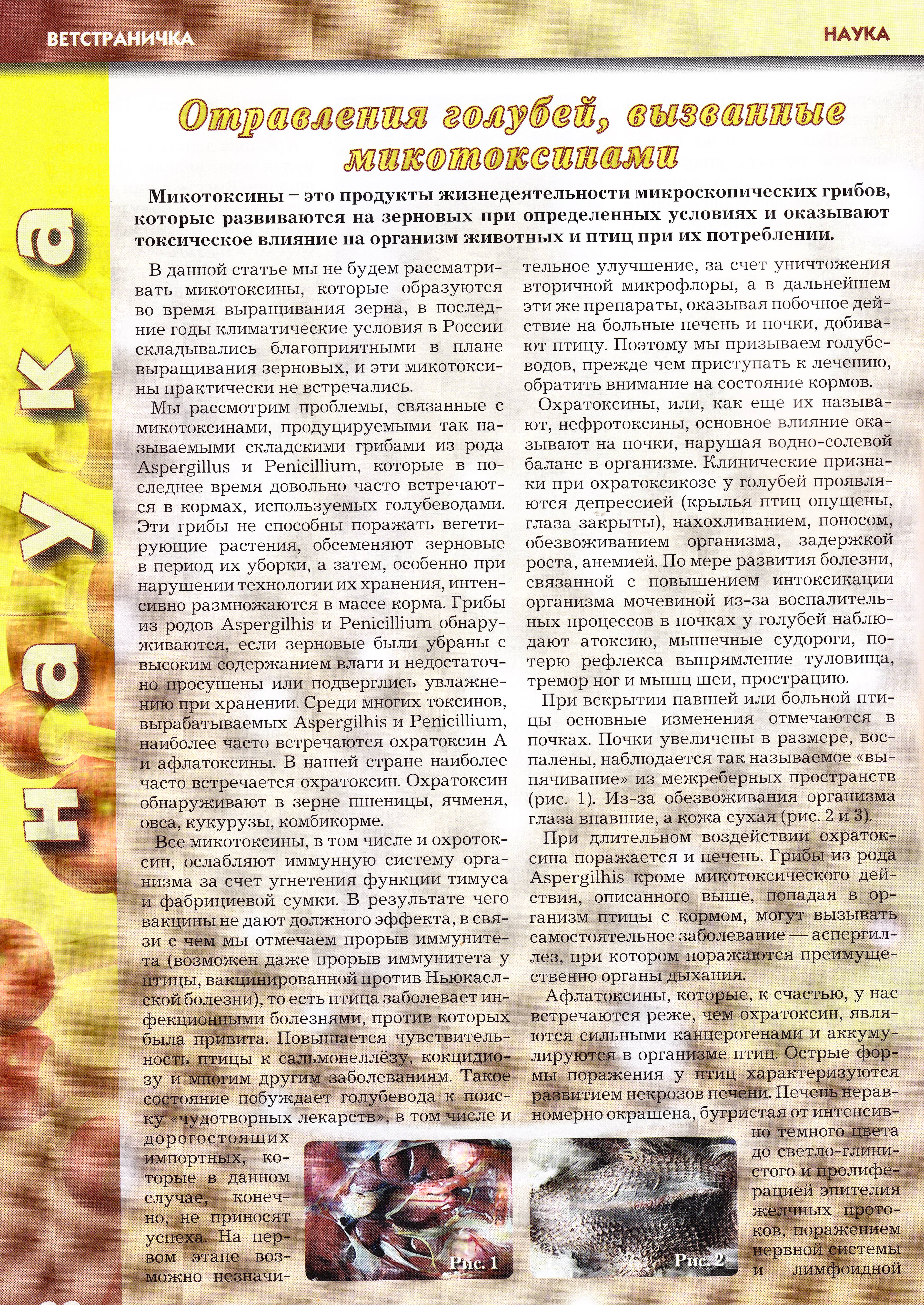 http://upforme.ru/uploads/0012/5a/ef/2/89399.jpg
