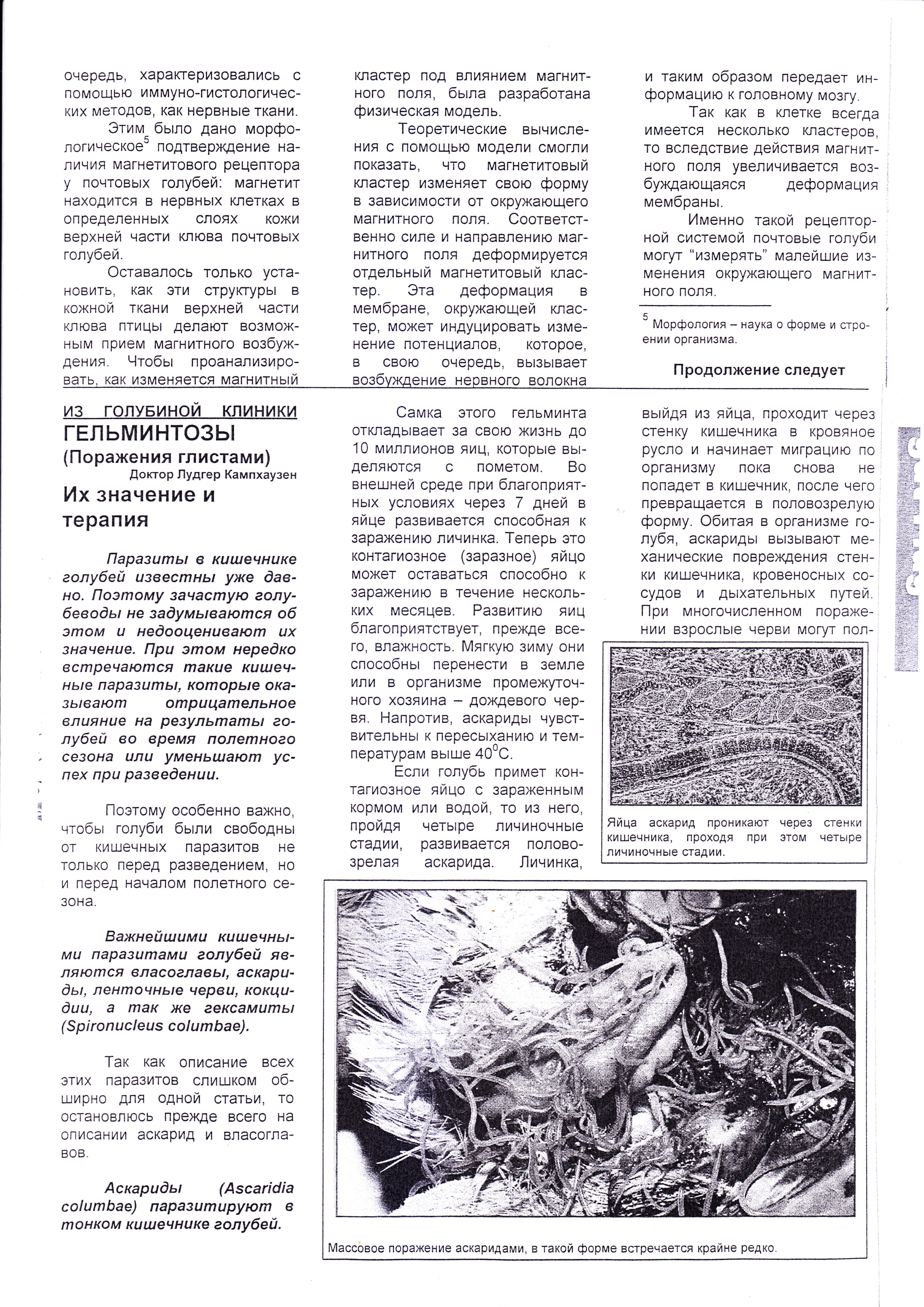 http://upforme.ru/uploads/0012/5a/ef/2/928936.jpg