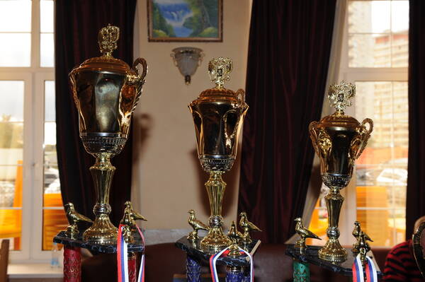 http://upforme.ru/uploads/0012/5a/ef/2/t379243.jpg