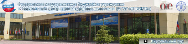 http://upforme.ru/uploads/0012/5a/ef/2/t439826.jpg