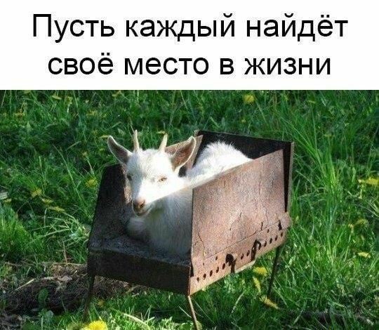 http://upforme.ru/uploads/0012/5a/ef/2/t616420.jpg