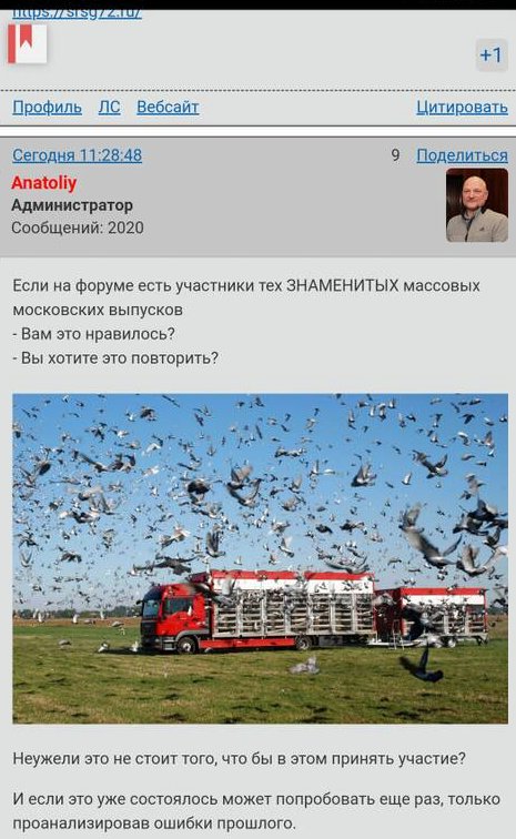 http://upforme.ru/uploads/0012/5a/ef/2/t684464.jpg