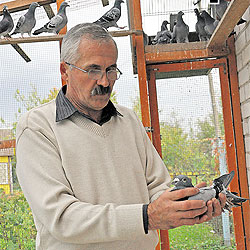 http://upforme.ru/uploads/0012/5a/ef/266/29265.jpg