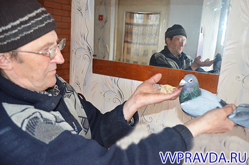 http://upforme.ru/uploads/0012/5a/ef/266/922237.jpg