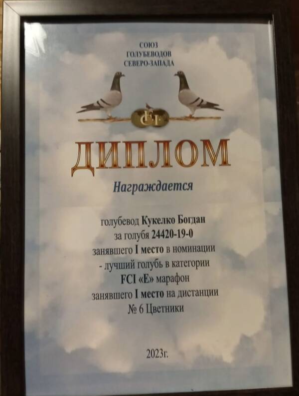 http://upforme.ru/uploads/0012/5a/ef/266/t134719.jpg