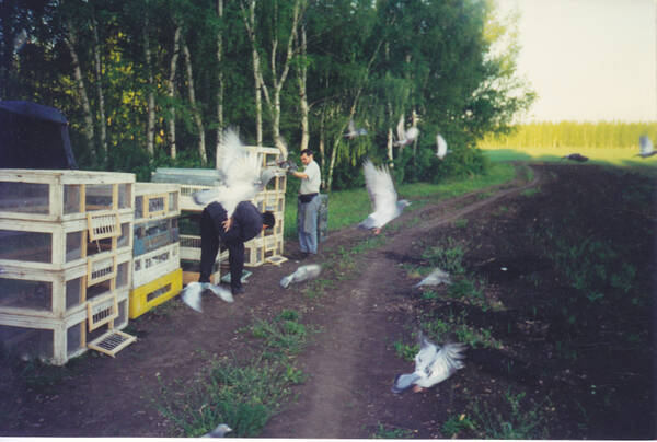 http://upforme.ru/uploads/0012/5a/ef/266/t232807.jpg