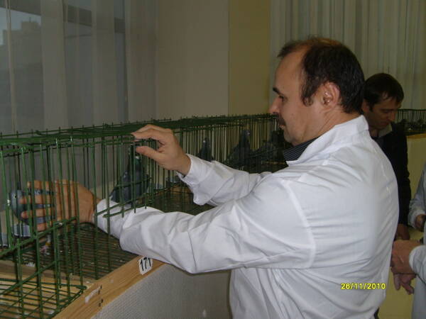 http://upforme.ru/uploads/0012/5a/ef/266/t402683.jpg