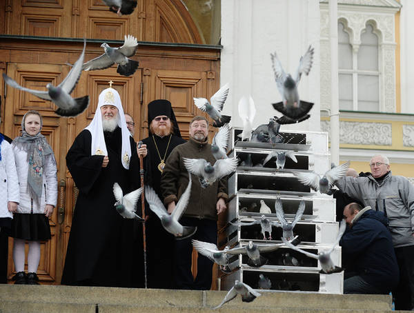 http://upforme.ru/uploads/0012/5a/ef/266/t63786.jpg