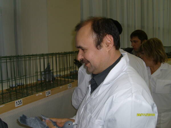 http://upforme.ru/uploads/0012/5a/ef/266/t682622.jpg