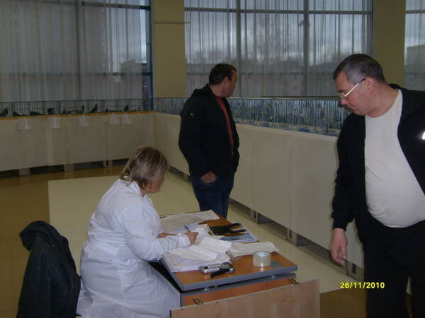 http://upforme.ru/uploads/0012/5a/ef/266/t827322.jpg
